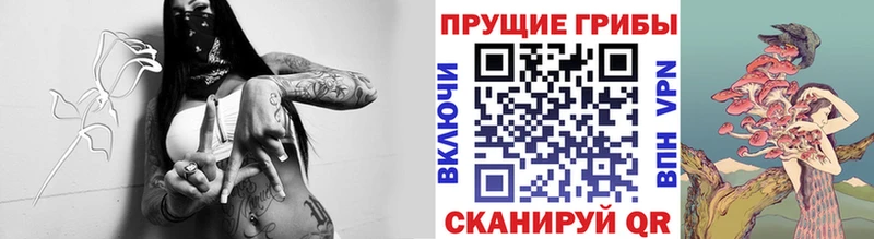как найти закладки  Аша  кракен tor  Галлюциногенные грибы мицелий 