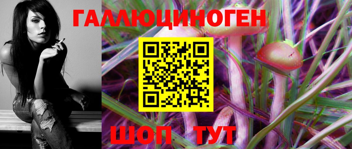 Галлюциногенные грибы MAGIC MUSHROOMS  Вход с VPN  Аша  Псилоцибиновые грибы прущие грибы 