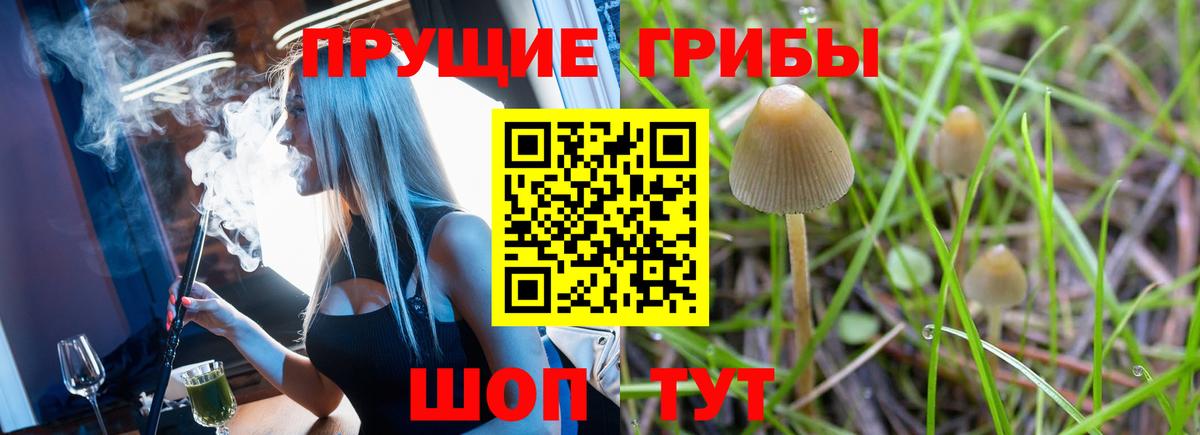Канабис  Вход с VPN  Мефедрон   COCAIN  Аша  MDMA  Гашиш  ГАШИШ  МЕФ 